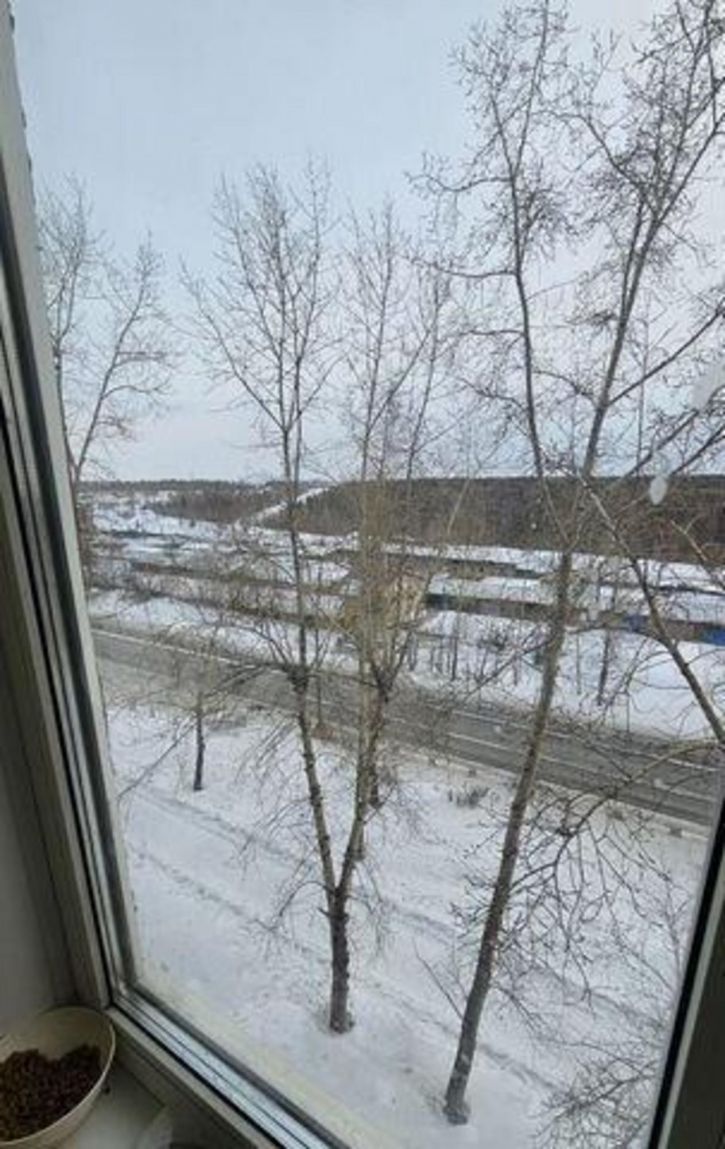 2-комн квартира Пихтовая, 50А